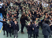 DOMINGO DE RAMOS 2026