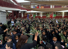 DOMINGO DE RAMOS 2026