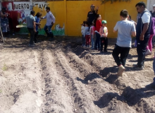 HUERTO JAVIER SEMILLITA