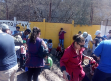 HUERTO JAVIER SEMILLITA